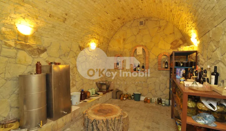 Casă, Centru, AUREL DAVID