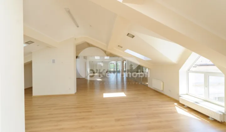 Офис, Центр, БЭНУЛЕСКУ БОДОНИ