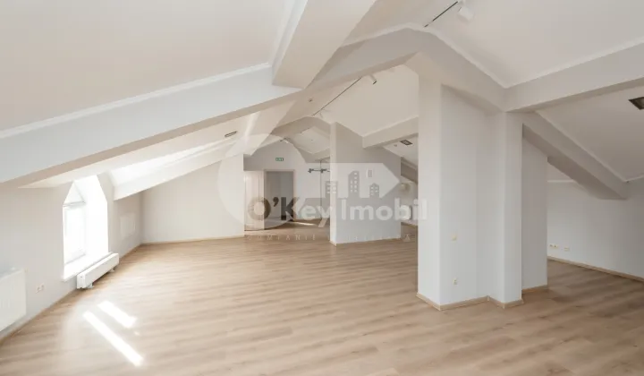 Офис, Центр, БЭНУЛЕСКУ БОДОНИ