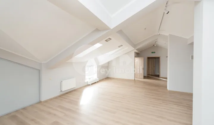 Офис, Центр, БЭНУЛЕСКУ БОДОНИ