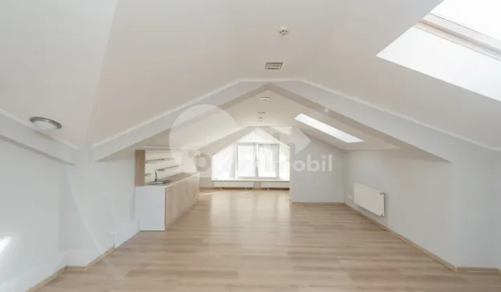 Oficiu, Centru, BĂNULESCU BODONI