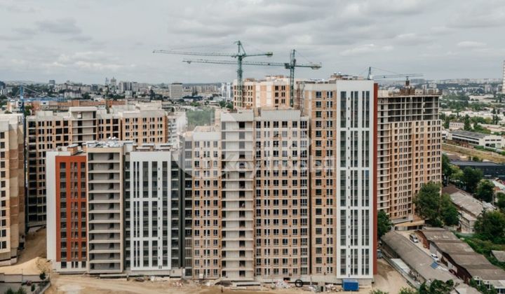 Квартира, Ботаника, ДИМИНЕЦИЙ