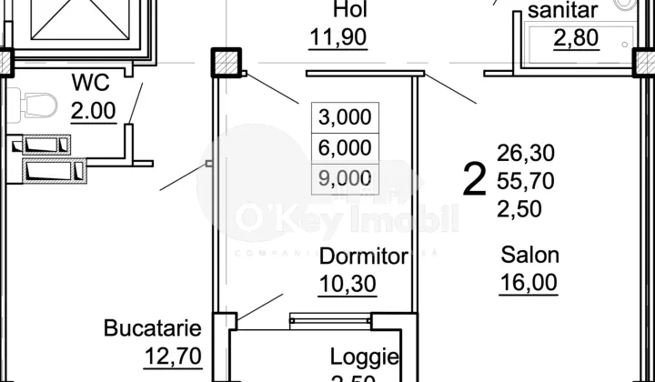 Apartament, COJUȘNA