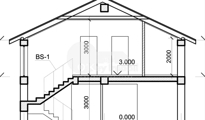 Дом, КОЖУШНА