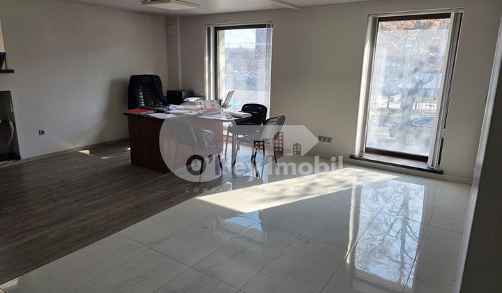 Офис, Центр, ГРИГОРЕ ВИЕРУ