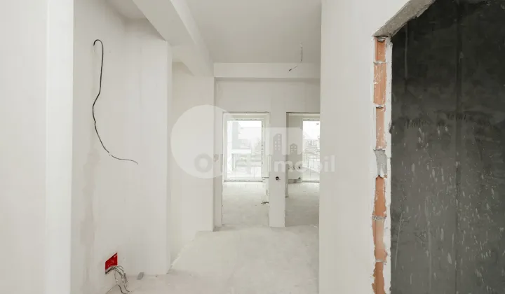 Дом, Ботаника, ДАЧИЯ