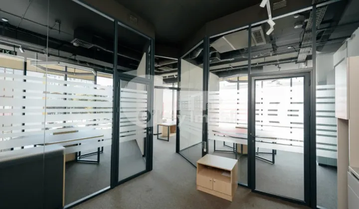 Oficiu, Botanica, CONSTANTIN BRÂNCUȘI