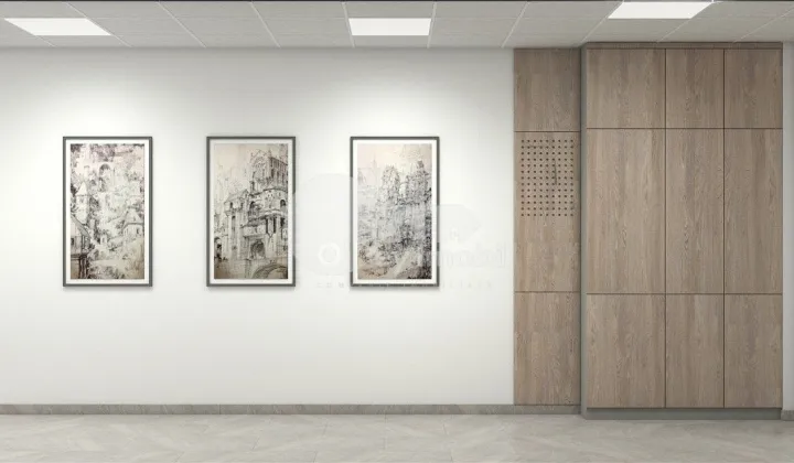 Офис, Буюканы, АЛБА ЮЛИЯ