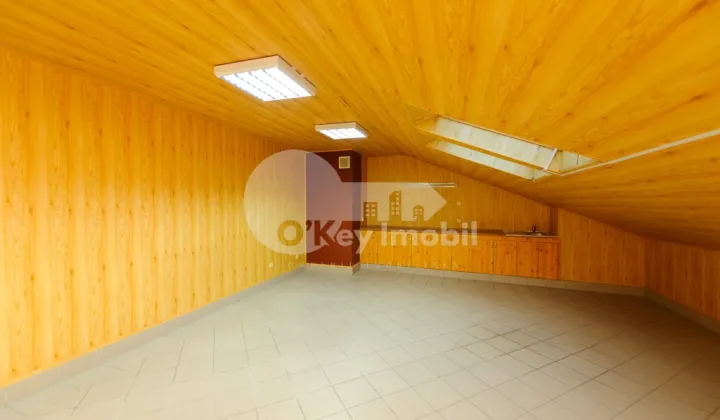 Офис, Центр, МИХАИЛ КОГАЛНИЧАНУ