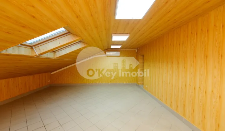 Офис, Центр, МИХАИЛ КОГАЛНИЧАНУ