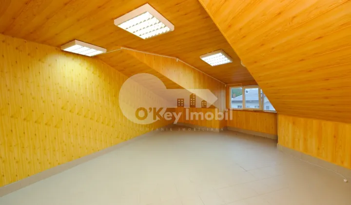 Офис, Центр, МИХАИЛ КОГАЛНИЧАНУ