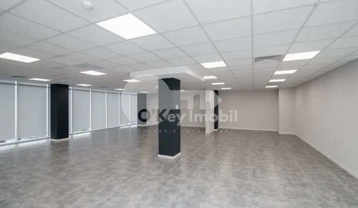 Офис, Ботаника, ДАЧИЯ