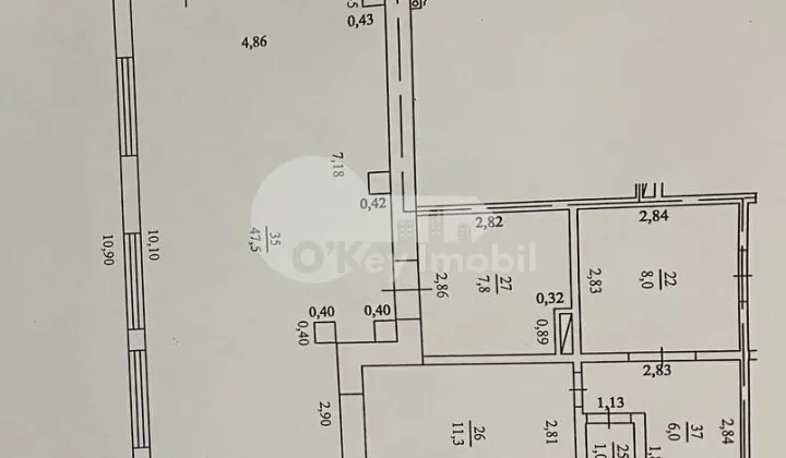 Комм. помещение, Ботаника, ИНДЕПЕНДЕНЦЕЙ