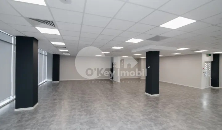 Офис, Ботаника, ДАЧИЯ