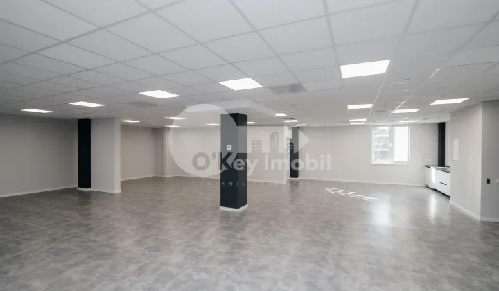 Офис, Ботаника, ДАЧИЯ