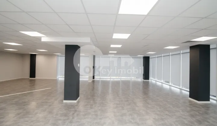 Офис, Ботаника, ДАЧИЯ