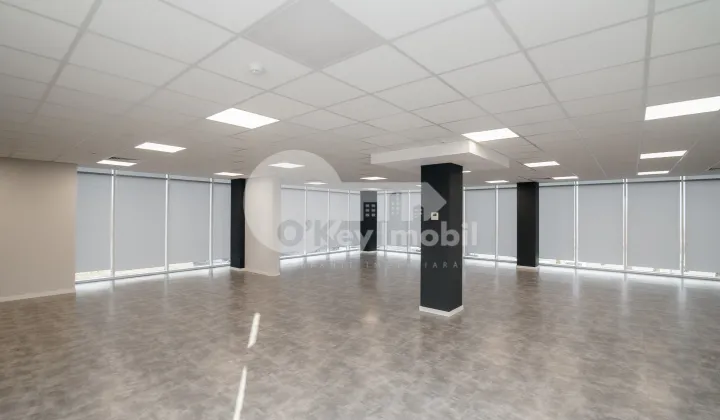 Офис, Ботаника, ДАЧИЯ