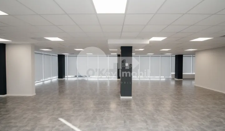 Офис, Ботаника, ДАЧИЯ