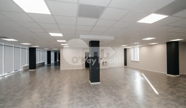 Офис, Ботаника, ДАЧИЯ