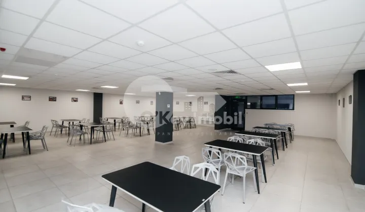 Офис, Ботаника, ДАЧИЯ