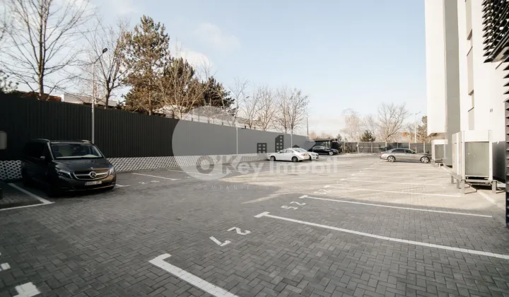 Офис, Ботаника, ДАЧИЯ