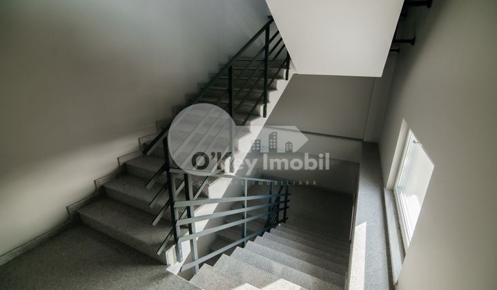 Oficiu, Botanica, BD. DACIA