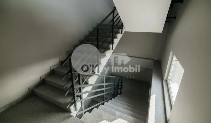 Офис, Ботаника, ДАЧИЯ