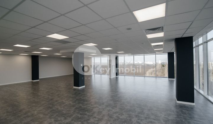 Oficiu, Botanica, BD. DACIA