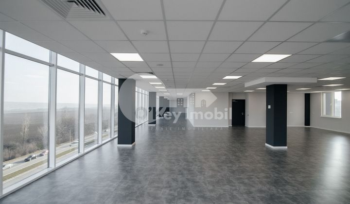 Oficiu, Botanica, BD. DACIA