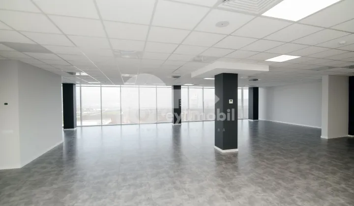 Офис, Ботаника, ДАЧИЯ