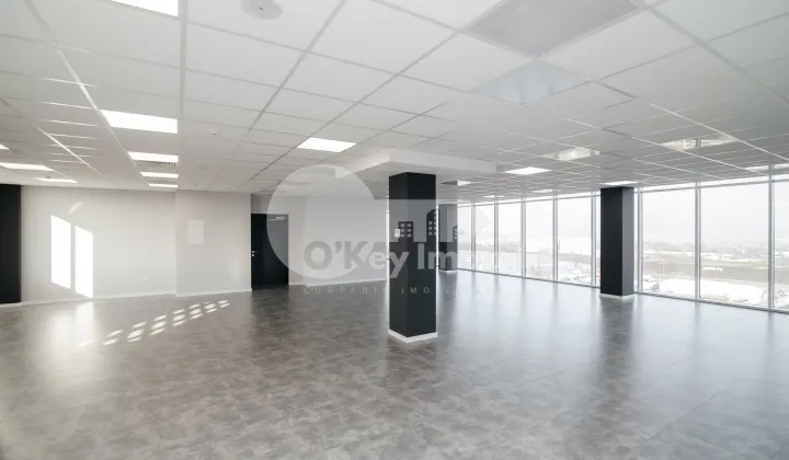 Офис, Ботаника, ДАЧИЯ