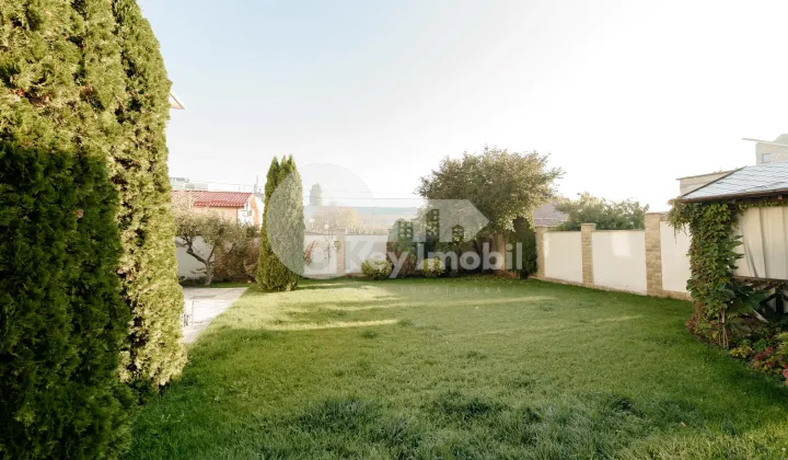 Дом, Буюканы, ИОН ЛУКА КАРАДЖАЛЕ