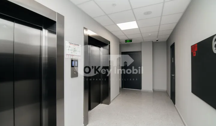 Офис, Ботаника, ДАЧИЯ