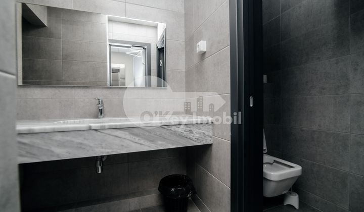 Oficiu, Botanica, BD. DACIA