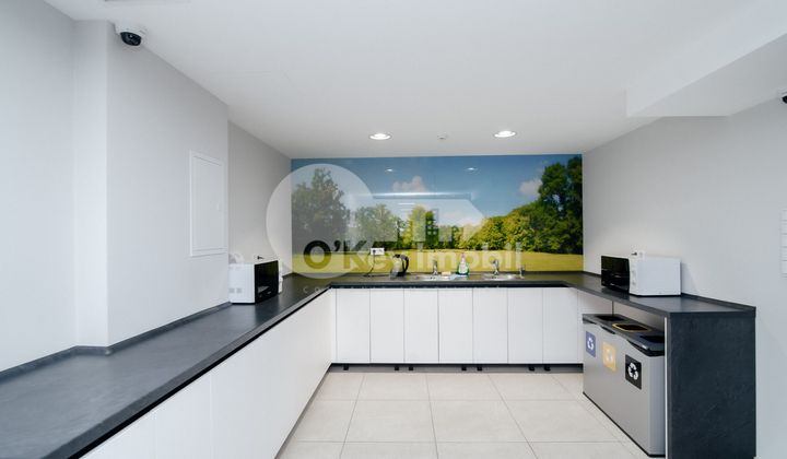 Oficiu, Botanica, BD. DACIA