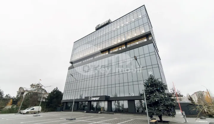 Офис, Ботаника, ДАЧИЯ