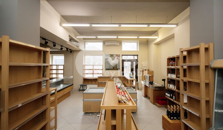 Комм. помещение, Центр, ГРИГОРЕ ВИЕРУ