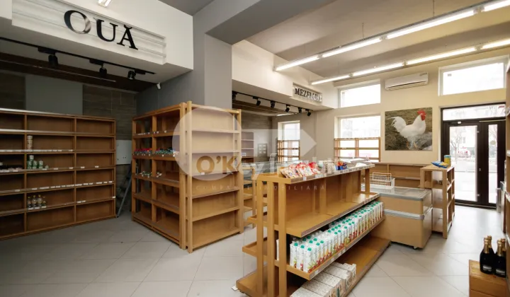 Комм. помещение, Центр, ГРИГОРЕ ВИЕРУ