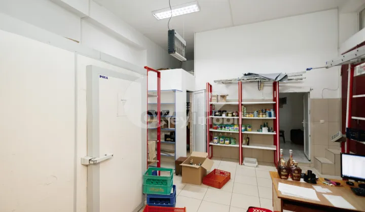 Комм. помещение, Центр, ГРИГОРЕ ВИЕРУ