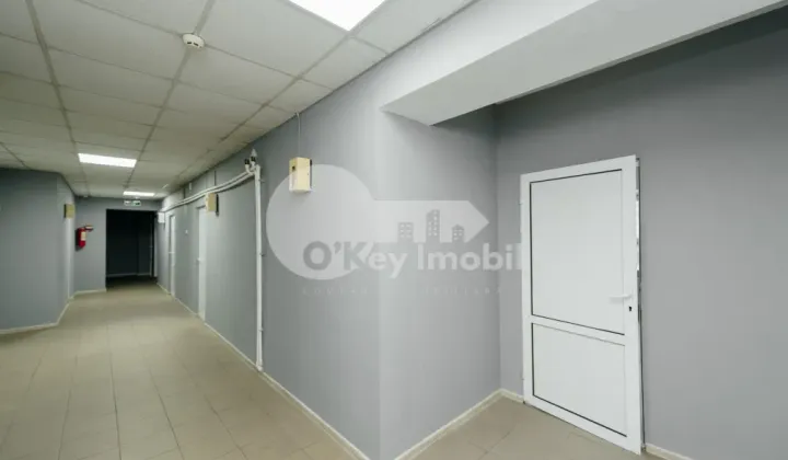 Oficiu, Centru, COLUMNA