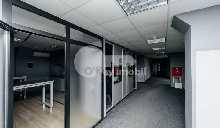 Spațiu comercial, Botanica, DACIA