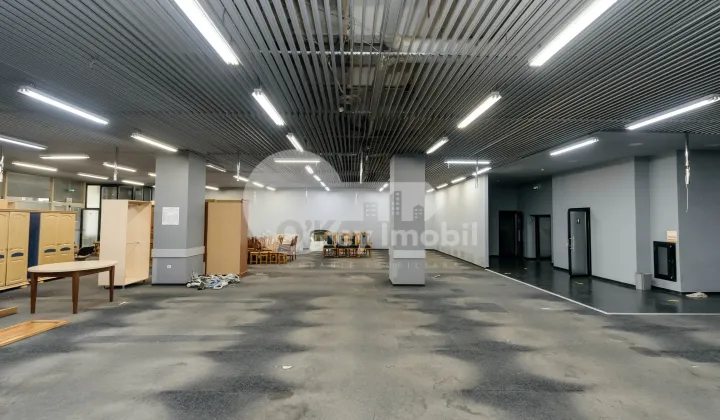 Комм. помещение, Ботаника, ДАЧИЯ