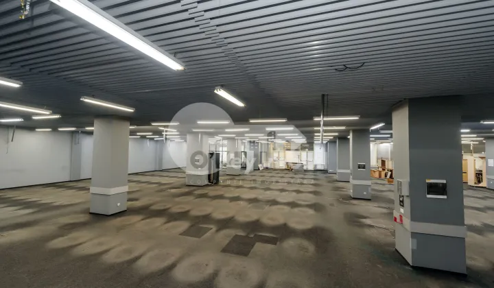 Комм. помещение, Ботаника, ДАЧИЯ