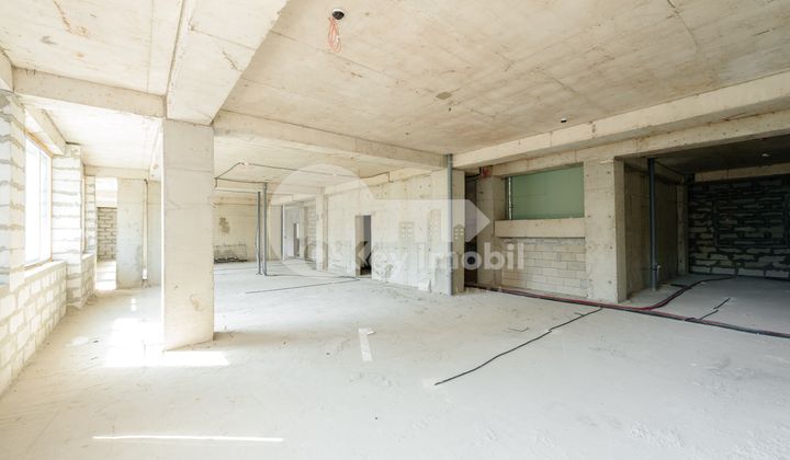 Комм. помещение, Рышкановка, Н. ДИМО