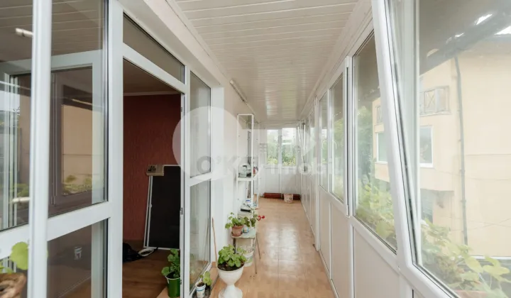 Комм. помещение, Ботаника, ДАЧИЯ