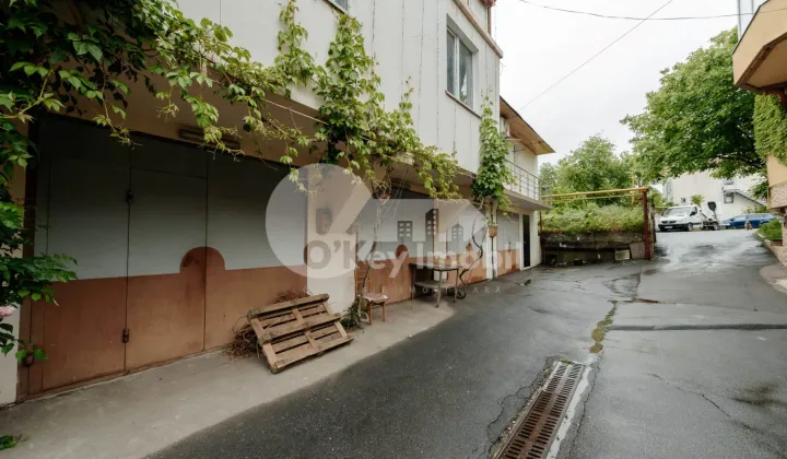 Комм. помещение, Ботаника, ДАЧИЯ