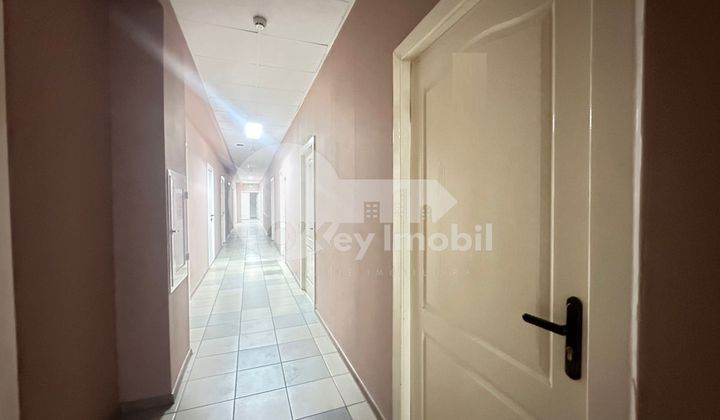 Офис, Ботаника, ДЕЧЕБАЛ