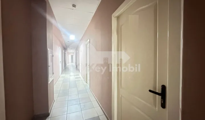 Офис, Ботаника, ДЕЧЕБАЛ