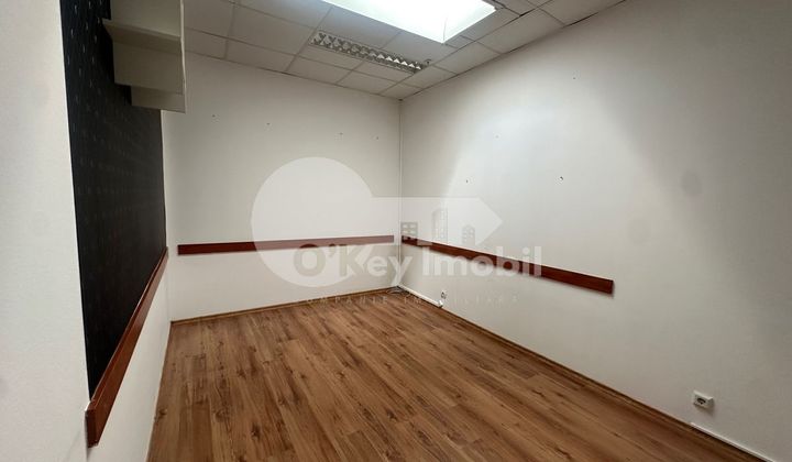 Офис, Ботаника, ДЕЧЕБАЛ