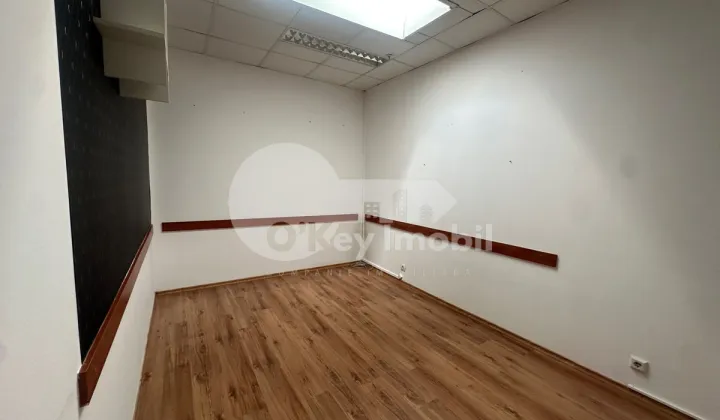 Офис, Ботаника, ДЕЧЕБАЛ